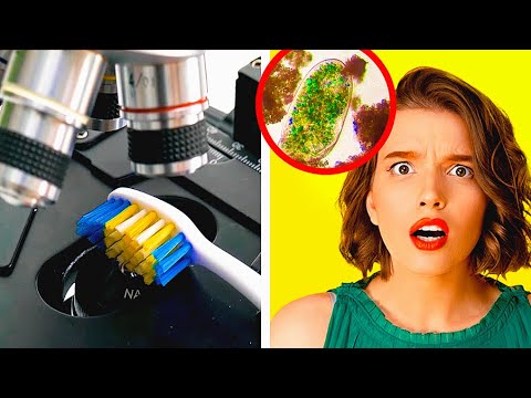 COMMON OBJECTS UNDER MICROSCOPE || 26 HOME EXPERIMENTS