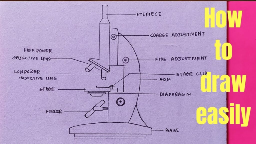 How to draw Microscope diagram for beginners – step by step