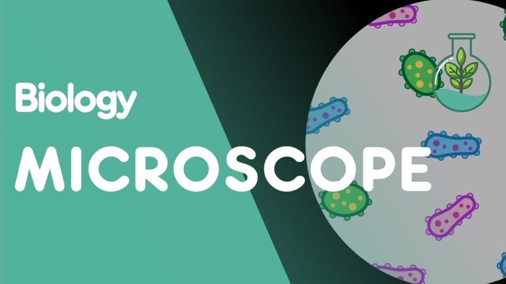 How to use a Microscope | Cells | Biology | FuseSchool