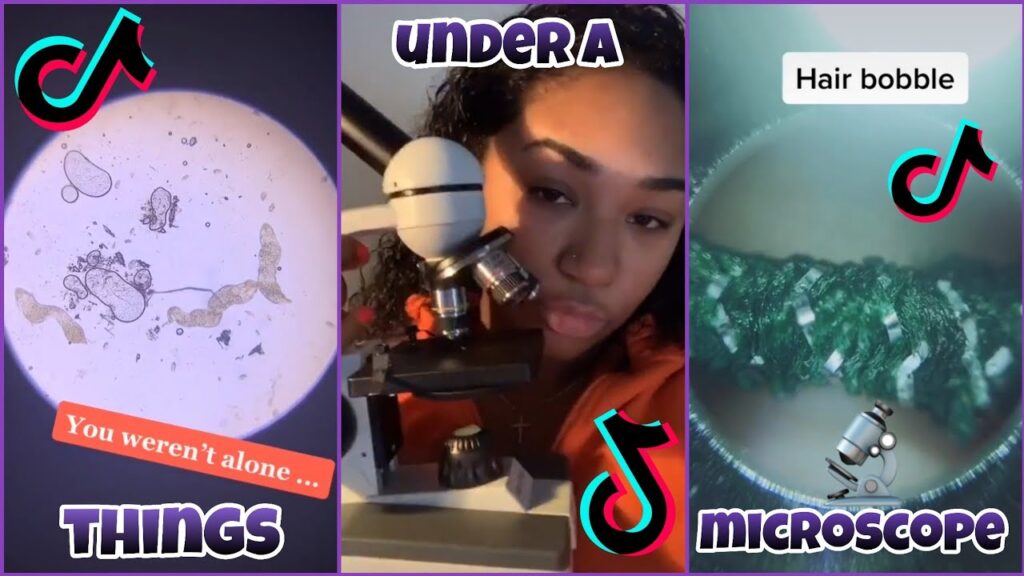 Things Under A Microscope~TikTok Compilation